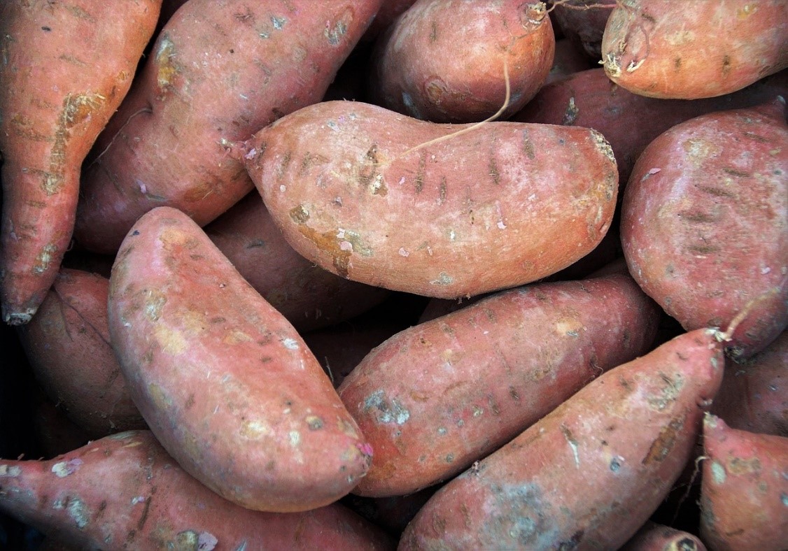O Mercado de Batata-Doce no Brasil: Crescimento, Oportunidades e Desafios.
