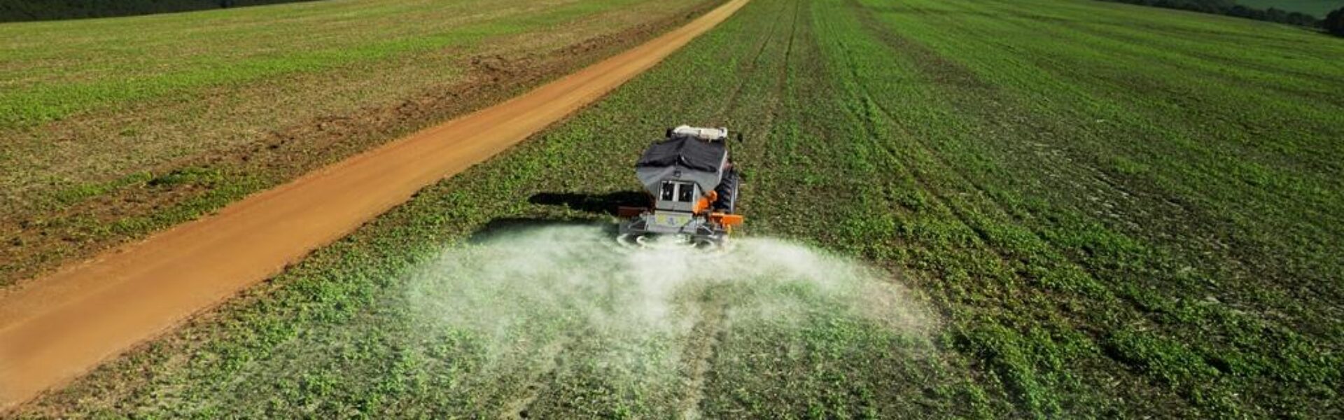 PRINCIPAIS DIFERENÇAS ENTRE O GESSO AGRÍCOLA E O CALCÁRIO.