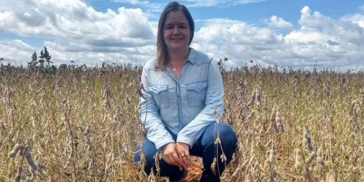 Tocantins consolida protagonismo na produção de grãos na safra 2024/2025.