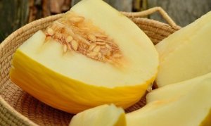 MELÃO/CEPEA: Produtividade recua no RN/CE.