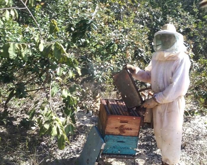 Apicultor mantém sucessão familiar na região Central de Minas Gerais.