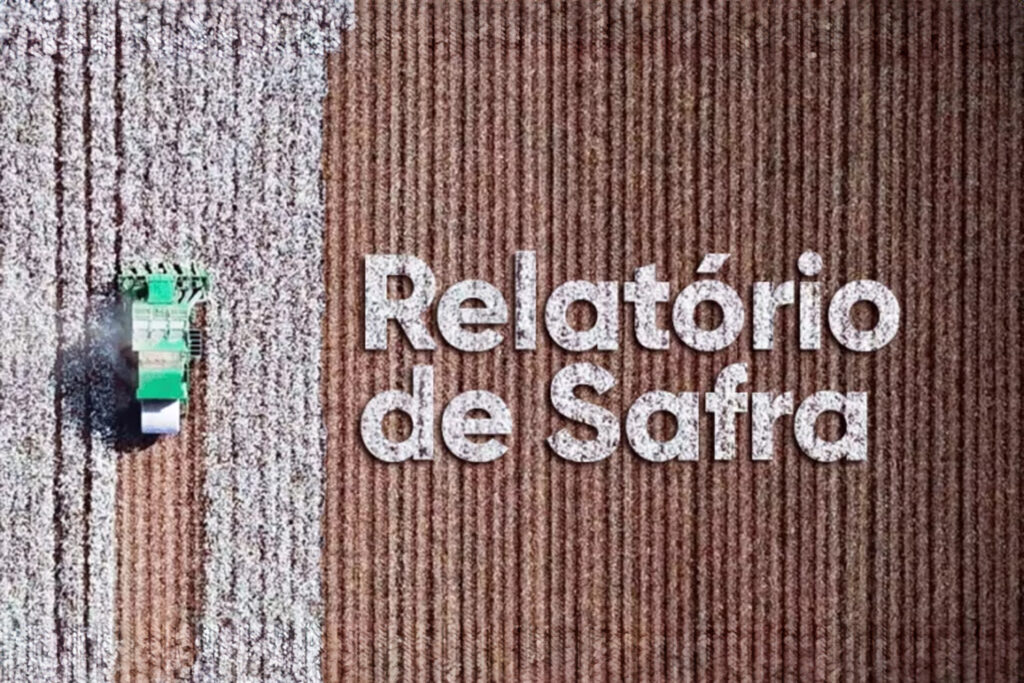 Brasil bate recorde de exportações no ano comercial 2024/2025 e se consolida como maior exportador mundial de algodão.