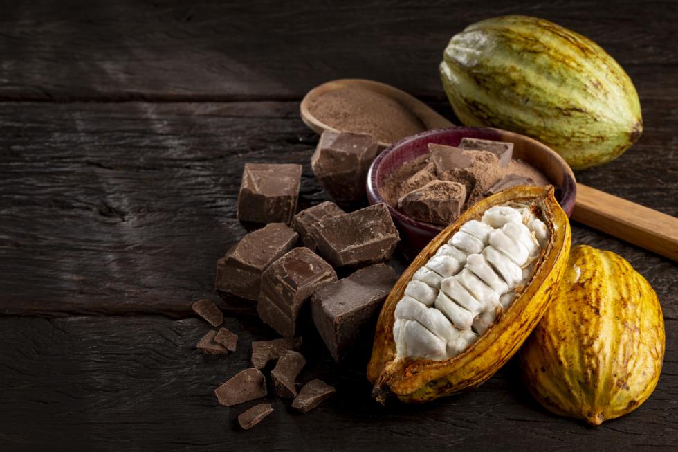 Cacau: a história e como a fruta se tornou chocolate.