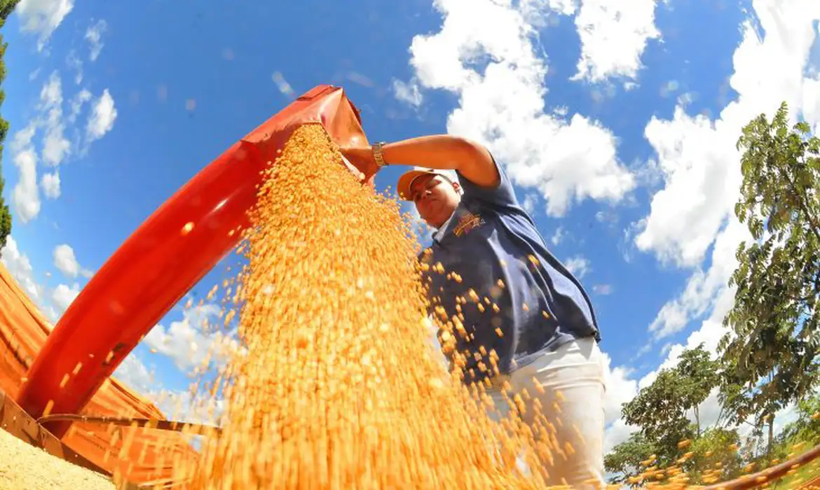 Brasil deve ter nova safra recorde de grãos em 2025/26, diz Conab.