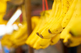 Brasil exporta 45 mil toneladas de banana no 1º semestre e projeta safra recorde em 2025.