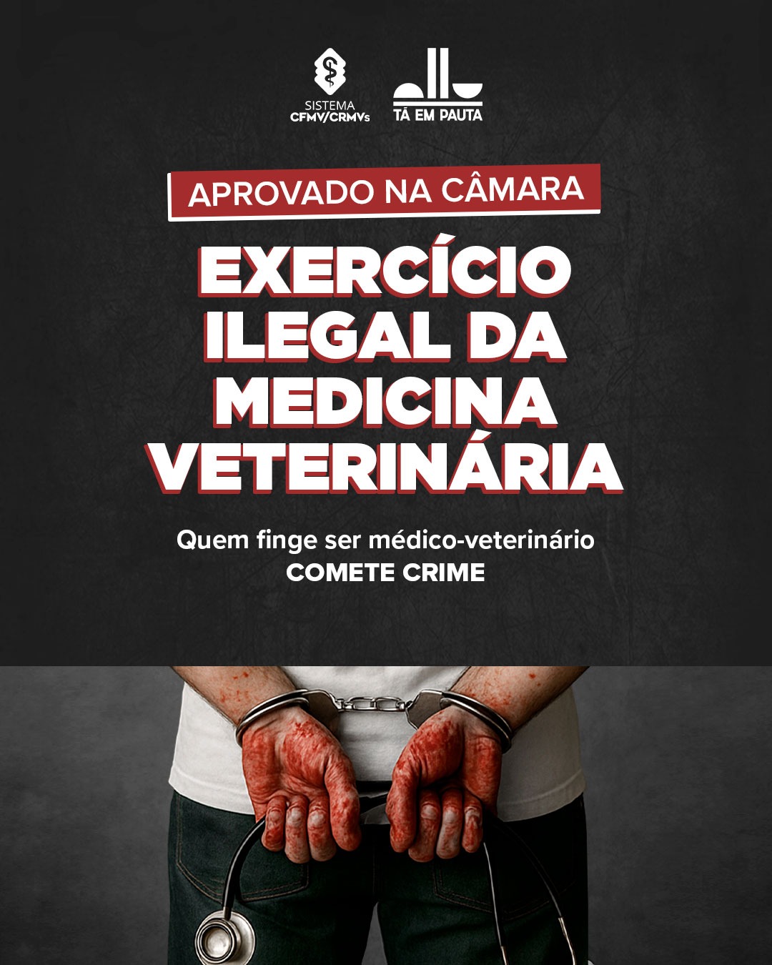 Câmara aprova projeto que criminaliza o exercício ilegal da Medicina Veterinária.