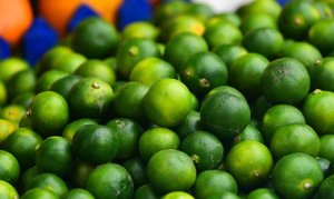 CITROS/CEPEA: Brasil aumenta exportações de limão.
