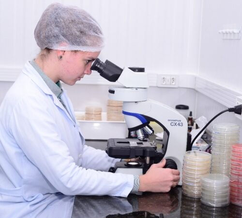 Bioinsumos próprios geram sustentabilidade e regeneração do solo na Bom Futuro.