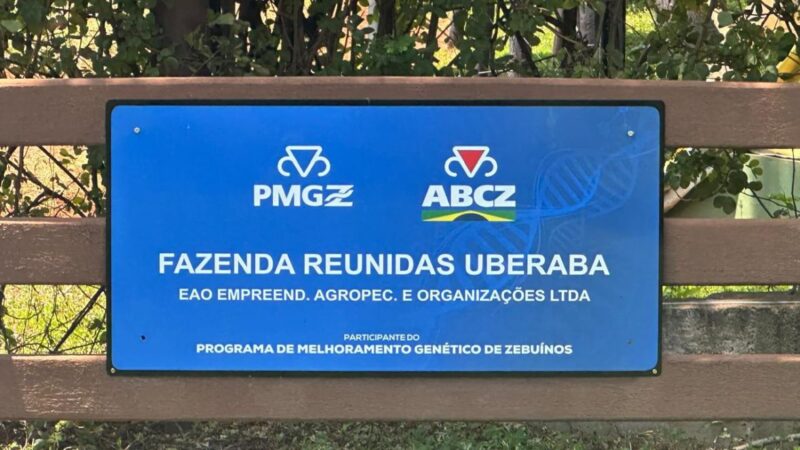 PMGZ Carne: pesagem intermediária marca início das avaliações na EAO Agropecuária.