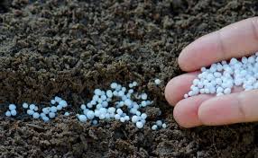 Ocorrências de chuvas após aplicação de ureia no solo.