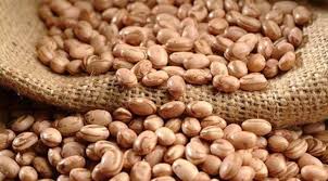 FEIJÃO/CEPEA: Há um ano, setor nacional conta com fonte segura sobre preços de feijões.