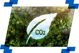 Calculadora de emissão de carbono para pequenas empresas.