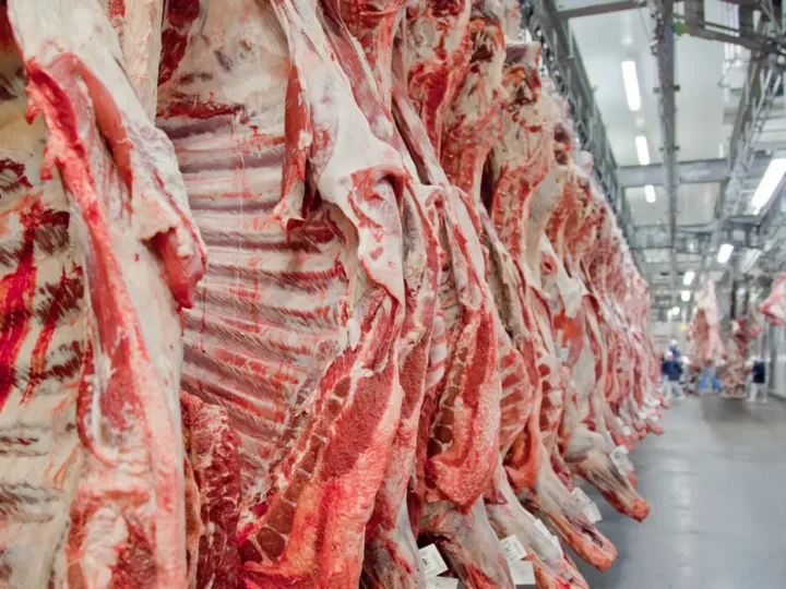Exportação de carne bovina bate recorde em mês anterior ao tarifaço.
