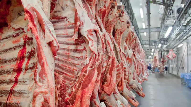 Exportação de carne bovina bate recorde em mês anterior ao tarifaço.