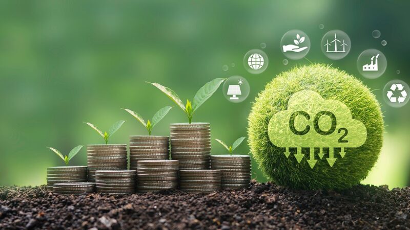 O NOVO OURO VERDE: COMO O CRÉDITO DE CARBONO ESTÁ TRANSFORMANDO O CAMPO BRASILEIRO.