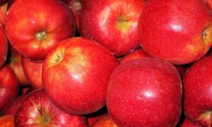 MAÇÃ/CEPEA: Clima está mais favorável à produção no RS.