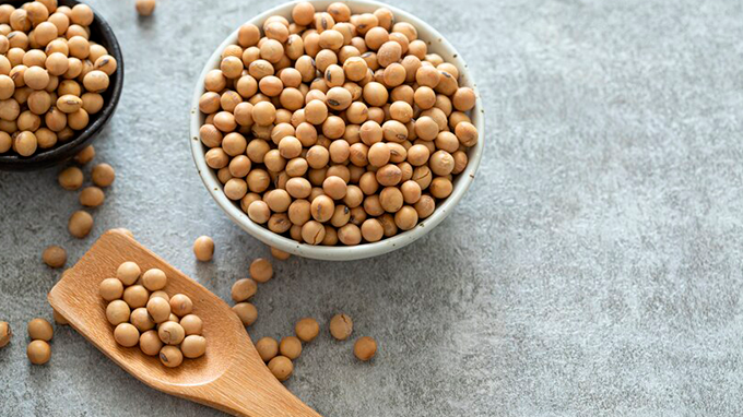 Embarques de soja em grão devem atingir 4,264 milhões de toneladas em novembro.