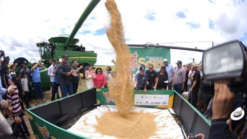 Roraima celebra colheita recorde de grãos com evento em Alto Alegre.