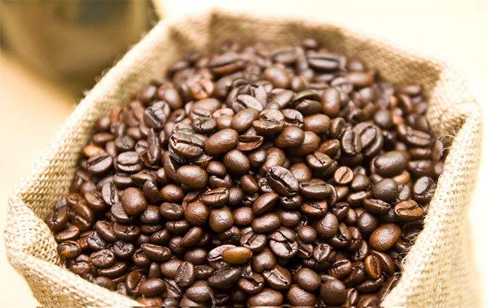 Café: Clima tem favorecido lavouras do Arábica.