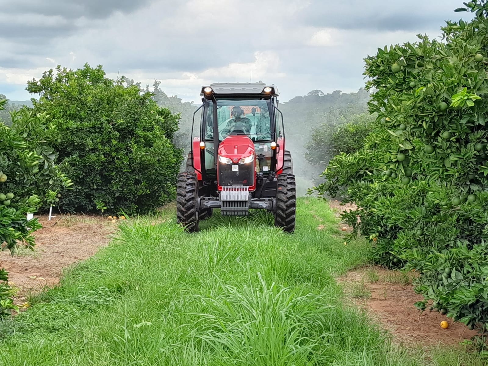 Tratores ganham protagonismo no processo de mecanização das lavouras de laranja.