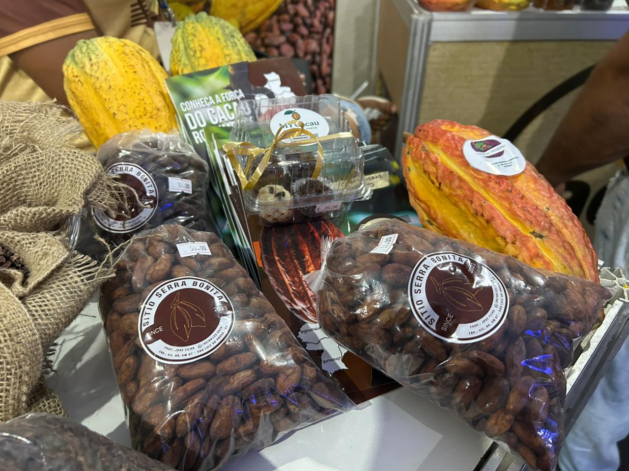 Cacau amazônico ganha espaço no pavilhão do Sebrae na Expoferr e fortalece agricultura familiar em Roraima.