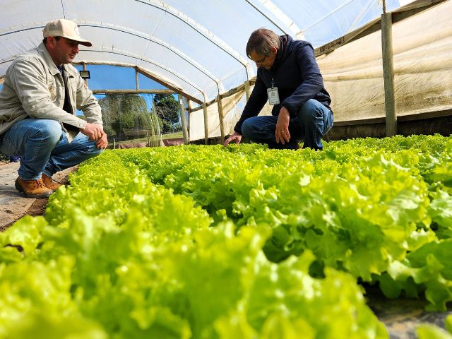 Produção cresce e família evolui com o apoio da Epagri na Serra de SC.