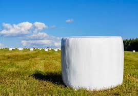 Cuidados no Momento de Enfenação do Tifton 85.