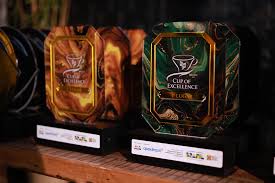 Brasil revela os melhores cafés especiais produzidos na safra 2025.