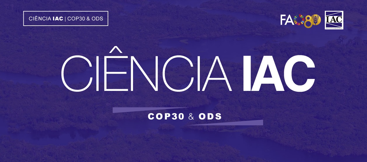 IAC lança página especial com pesquisas e programas voltada à COP30.