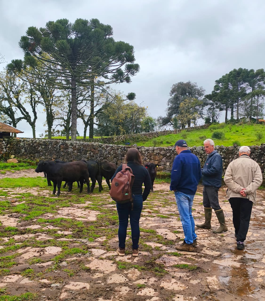 Auditoria da raça Ultrablack em Lages (SC) fortalece vínculo entre Associação e criadores.