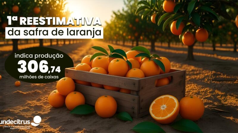 Primeira reestimativa da safra de laranja 2025/26 em SP e MG prevê produção de 306,74 milhões de caixas.