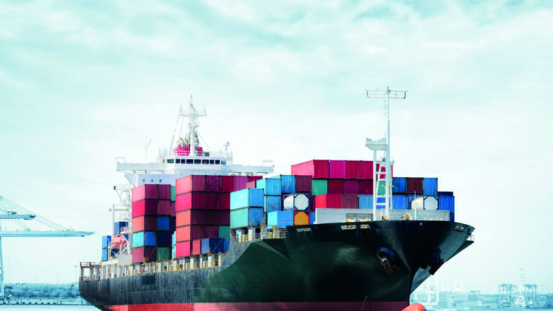 Com reabertura de China, exportações de carne de frango retomam perspectivas de crescimento para 2025.