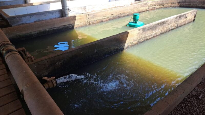 Piscicultura ganha novo fôlego em MS com ações do Estado e deve produzir 50 mil toneladas neste ano.