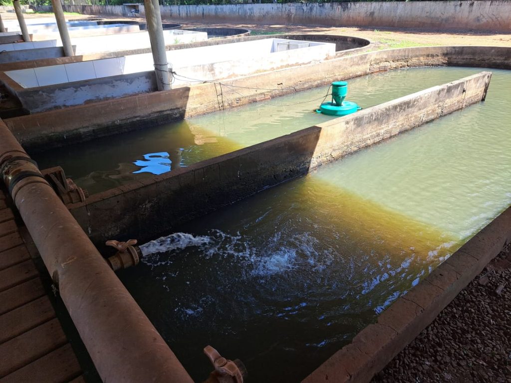 Piscicultura ganha novo fôlego em MS com ações do Estado e deve produzir 50 mil toneladas neste ano.