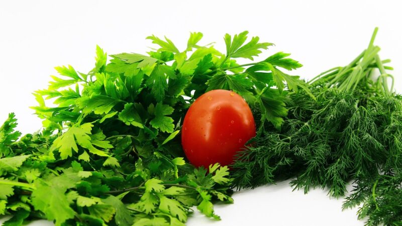 Hortas urbanas: cultivo sustentável em pequenos espaços.