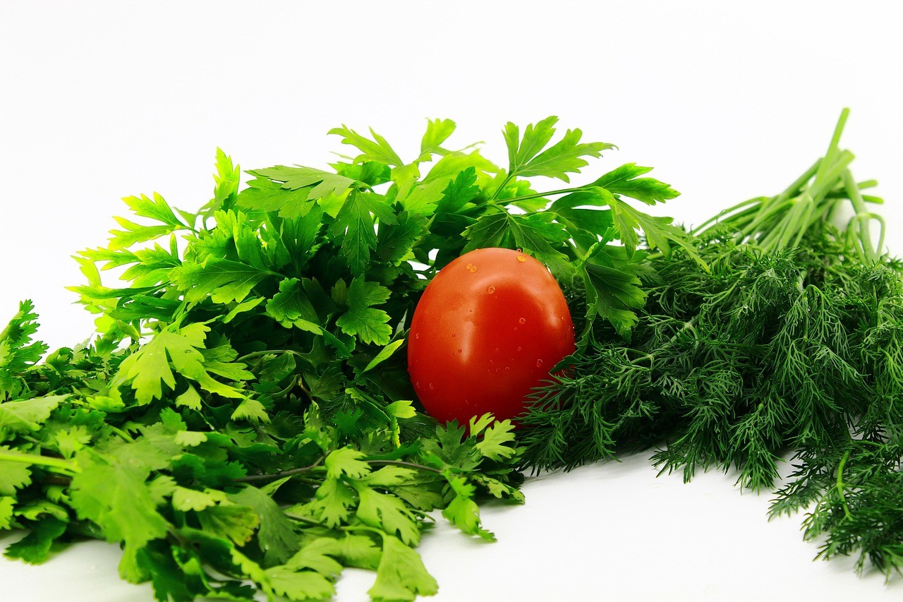 Hortas urbanas: cultivo sustentável em pequenos espaços.