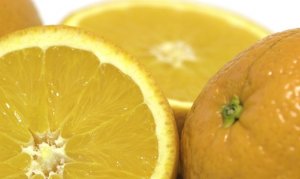 CITROS/CEPEA: Subprodutos citrícolas têm alívio tarifário.