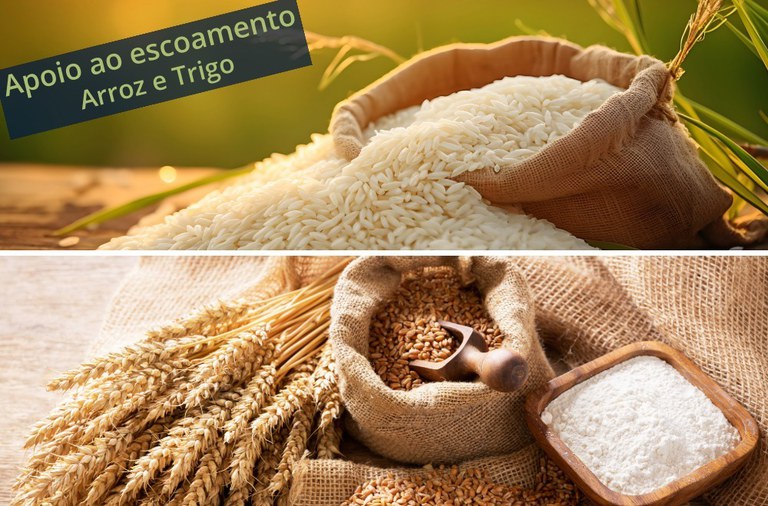 Leilões de apoio ao escoamento de arroz e trigo são marcados para o dia 22.