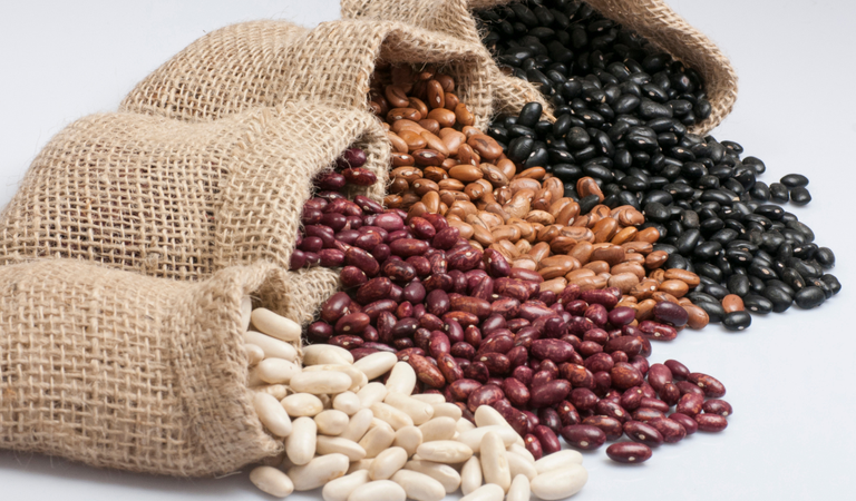 Governo Federal divulga subvenção econômica de mais de 21 milhões para equalização de preços de feijão cores e feijão-preto da safra 24/25.