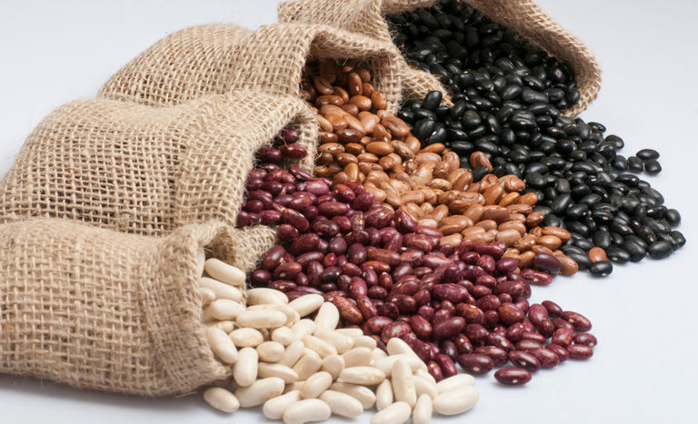 Governo Federal divulga subvenção econômica de mais de 21 milhões para equalização de preços de feijão cores e feijão-preto da safra 24/25.