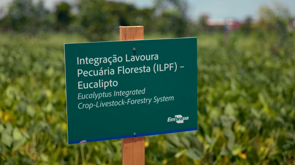 Agro foi protagonista na COP, e Agrizone deu amplo destaque ao Sistema ILPF.