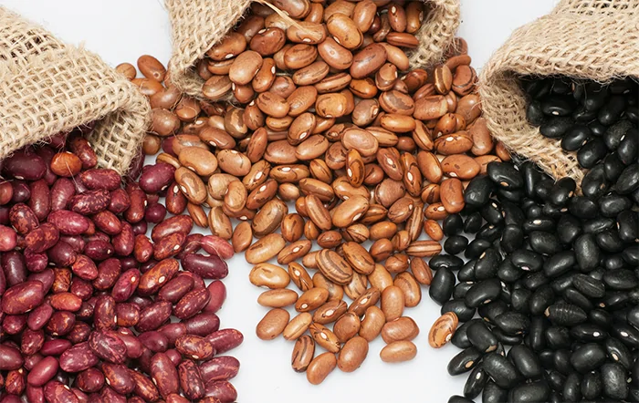 Feijão: Com menor demanda, preços recuam ao longo de novembro.