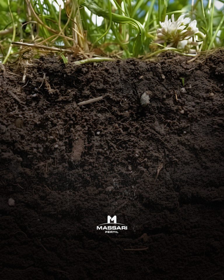 Fertilidade e Produtividade Comprometidas: Os Efeitos da Compactação do Solo.