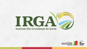 Semeadura de arroz no Estado ultrapassa os 92% da intenção total.