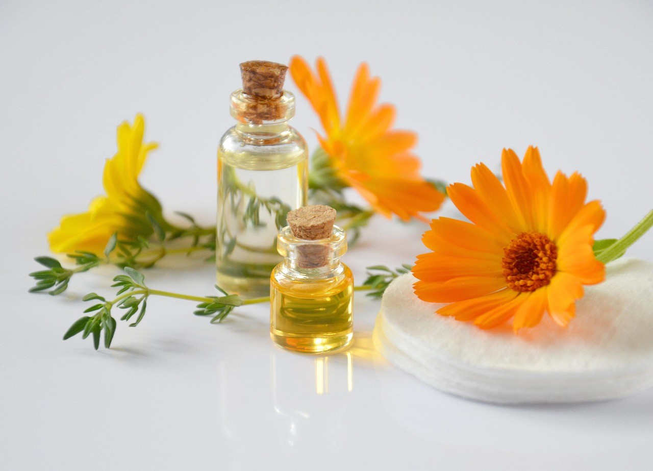 Floricultura para consumo humano: flores comestíveis, valor nutricional e oportunidades no agro.