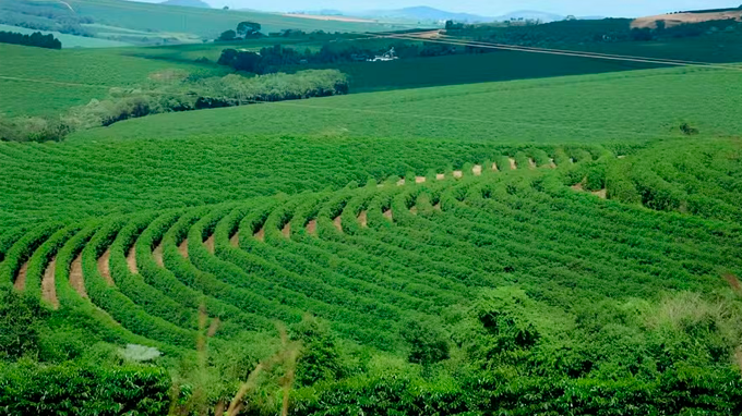 Produção agropecuária de 2025 consolida Goiás como liderança nacional.