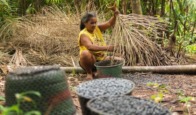 Mulheres Lideram Produção de Açaí na Amazônia.