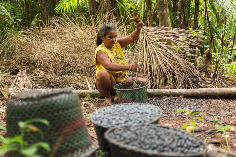Mulheres Lideram Produção de Açaí na Amazônia.