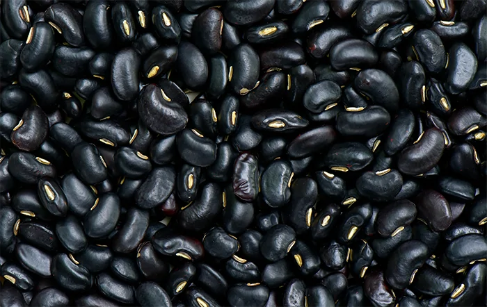 Feijão: Preços do grão Preto reagem neste começo de 2026.