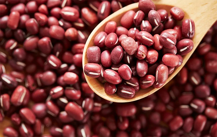 Feijão: Ano de consolidação e ampliação do projeto.